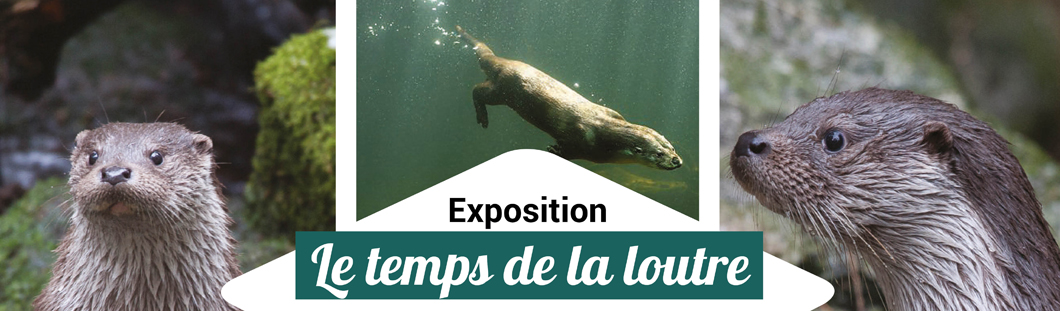 Exposition-2018-loutre-2