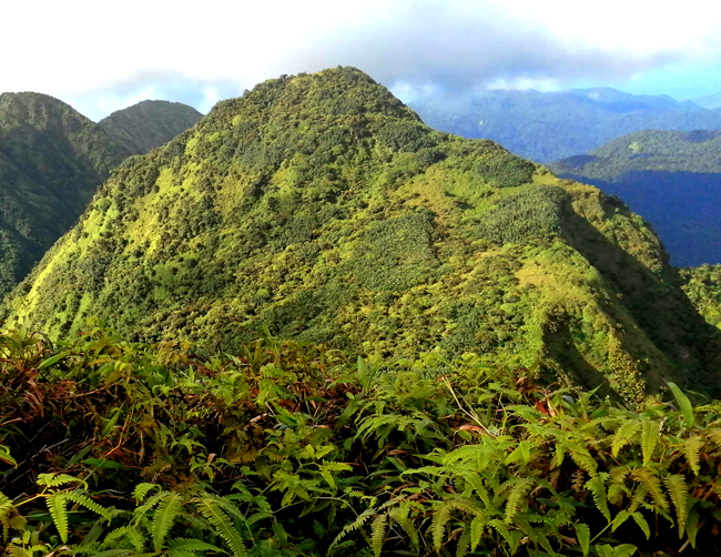 Martinique