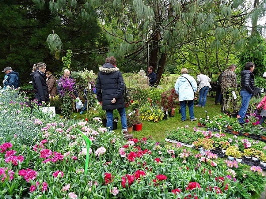 2015-05-01_Journee_des_plantes_-_CBN_de_Brest_Charlotte_Dissez_68