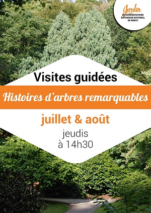 Affiches 2018 juillet jardin