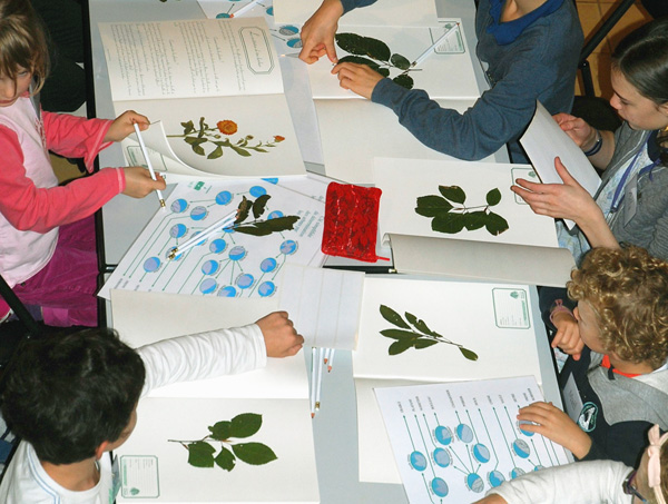 Jardin-atelier-botanique-herbier-1