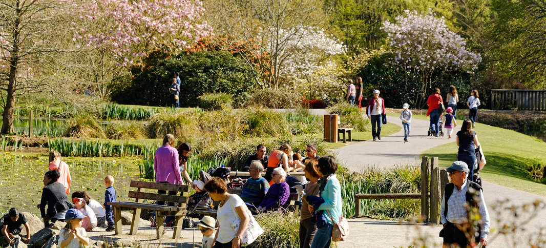 Jardin-conservatoire-Brest-metropole-Franck-Betermin