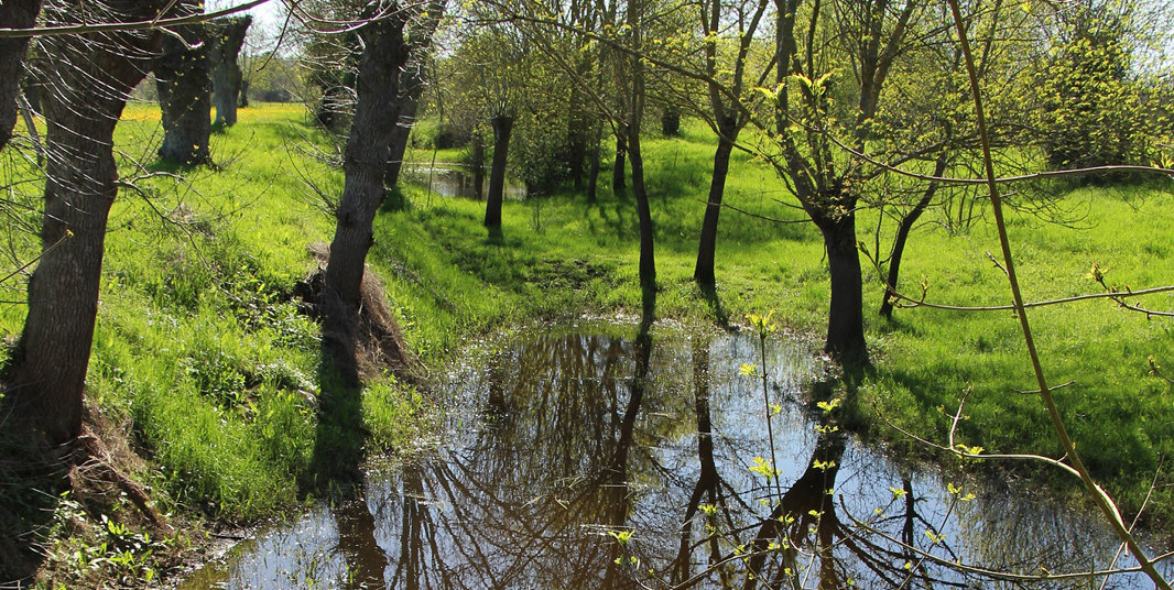 Milieux-Ile-aux-moines