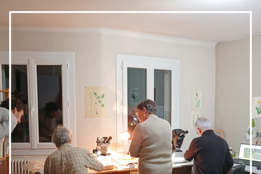 Ateliers_bryo_dbutants