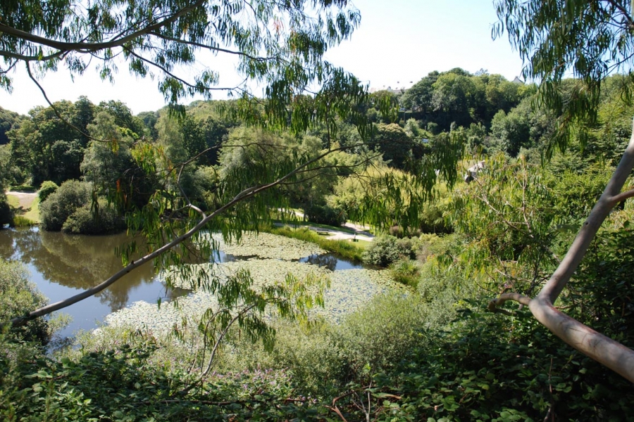 Jardin-CBN-de-Brest-CDissez-235