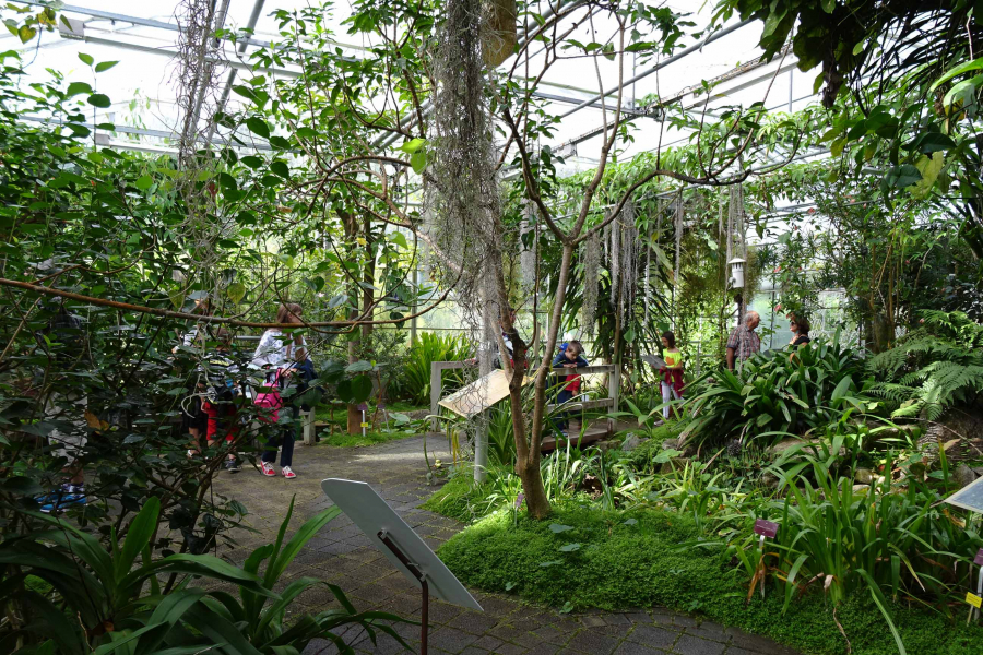 Visiteurs_serres_tropicales_-_CBN_de_Brest_Charlotte_Dissez_2014_4_edited