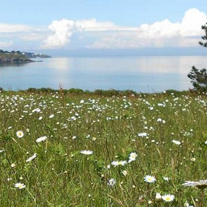 V.COLASSE-CBNB Belle Ile