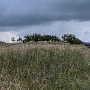 © Lauriane Laville (CBN de Brest)